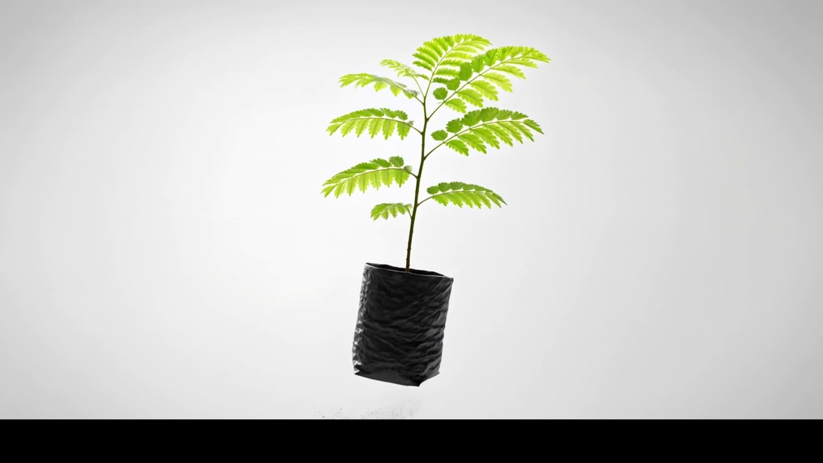 Potting Method — inovasi pembibitan dalam media tanam terkontrol untuk lahan reklamasi dengan topsoil terbatas